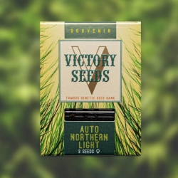Auto Northern Light | Victory Seeds