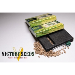 Auto Seemango | Victory Seeds