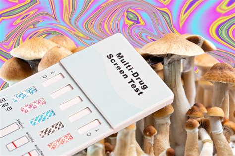 Does Shrooms Show Up on Drug Tests: A Journey Through the Psychedelic Maze