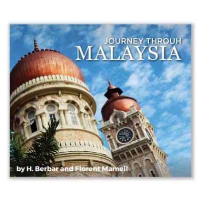 Immersion into Illness: A Journey Through Malaysian Medicine