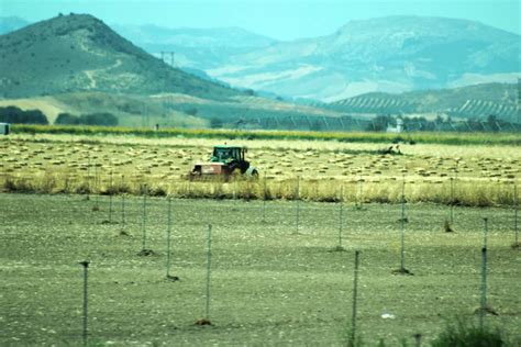 Irrigation: A Journey Through Spain's Agricultural Heart – Unveiling the Secrets of Water and Land