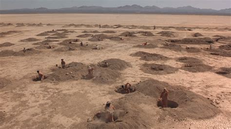 Where Was the Movie Holes Filmed? And Why Do Cacti Dream of Electric Deserts?